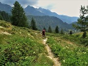 70 Scendendo le verde valle del Monte Sasso sul sent. 258